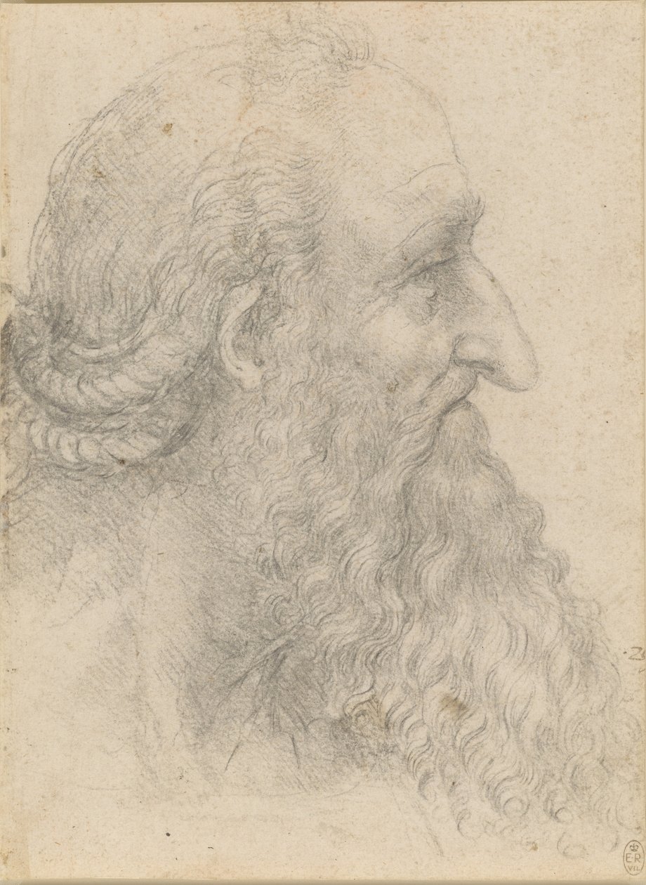 Het hoofd van een oude bebaarde man door Leonardo da Vinci