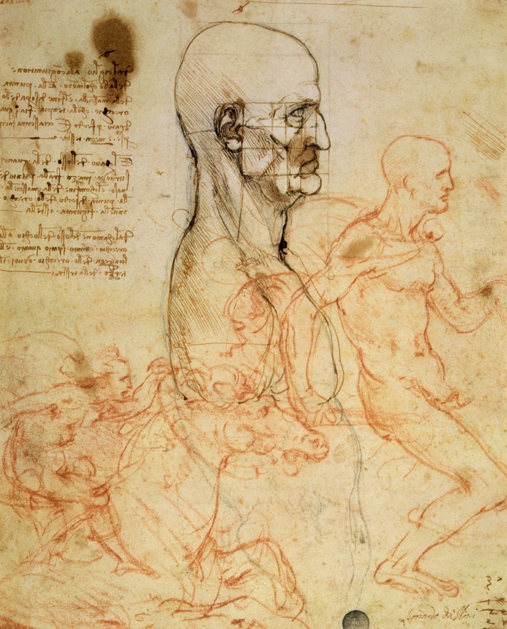 Torso van een man in profiel, het hoofd vierkant voor proportie, en schetsen van twee ruiters, c.1490 en c.1504 door Leonardo da Vinci