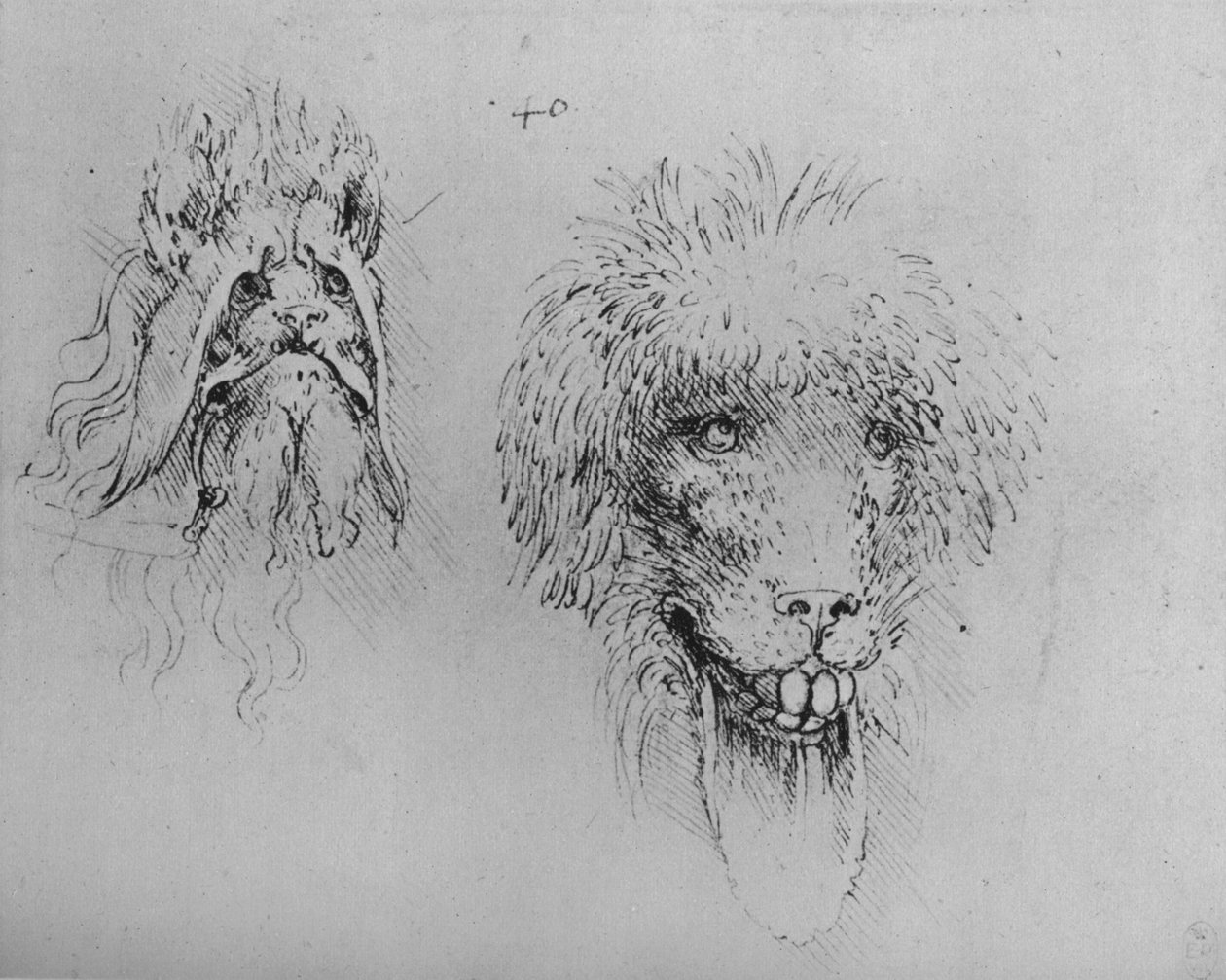 Twee hoofden van monsters, c1480 1945 door Leonardo da Vinci