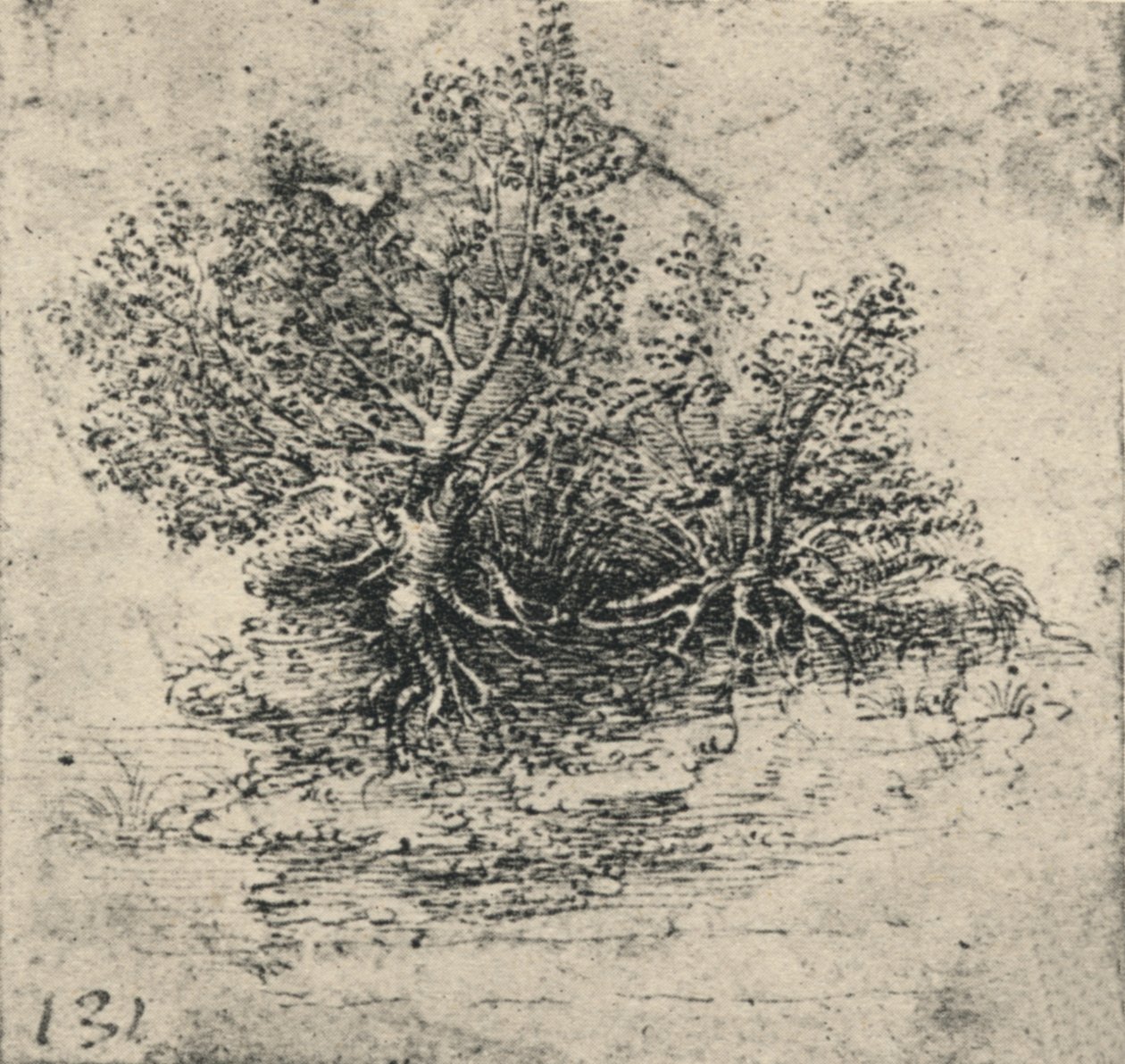 Twee bomen aan de oever van een stroom, c1480 door Leonardo da Vinci