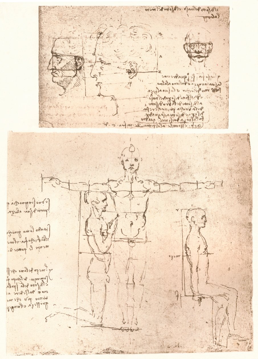 Twee tekeningen die de theorie van de proporties van het menselijk figuur illustreren door Leonardo da Vinci