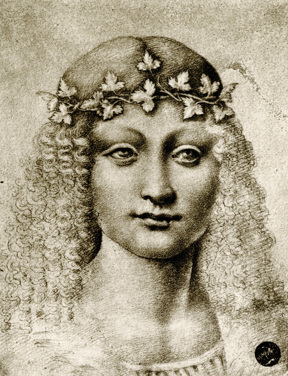 Hoofd van een meisje met wijnranken door Leonardo da school of Vinci