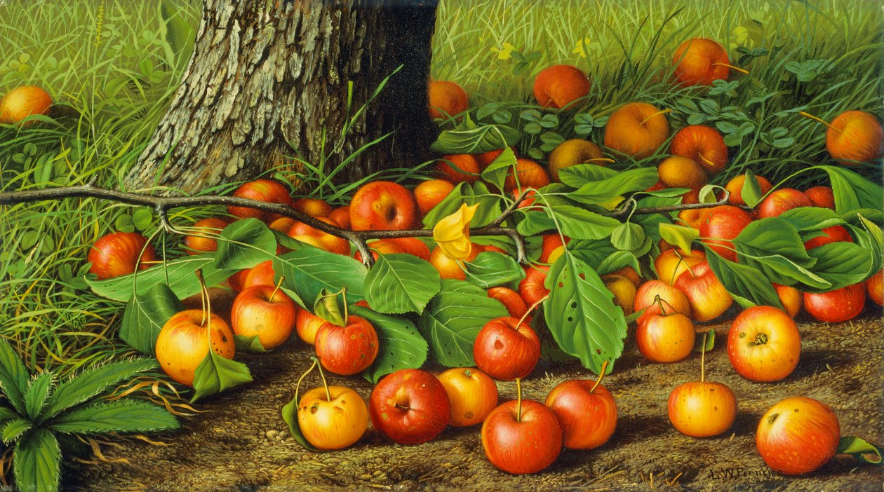 Stilleven met Appels bij een Boom door Levi Wells Prentice