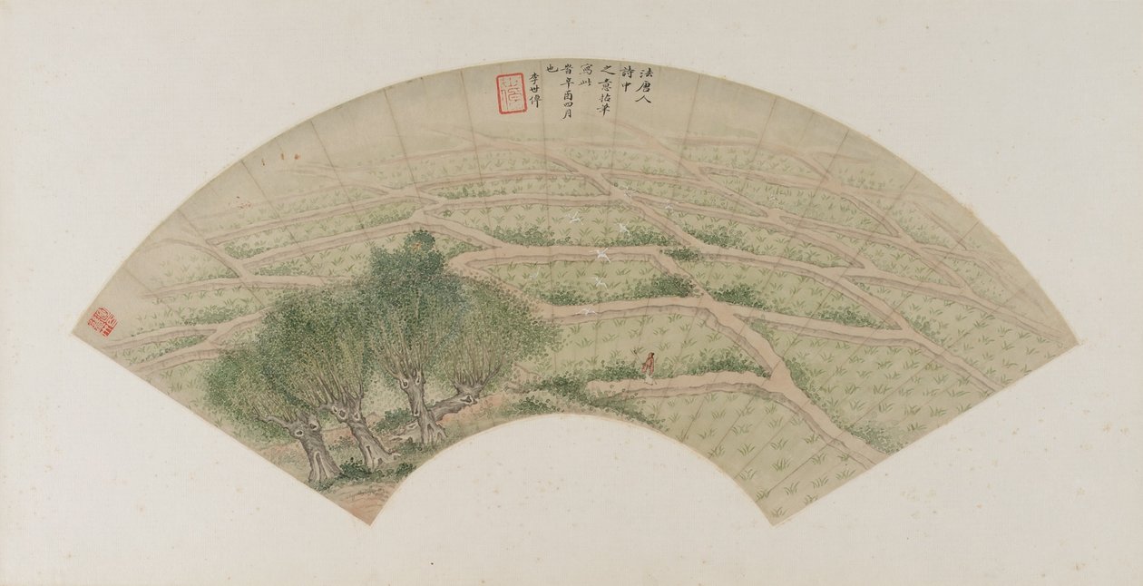 Rijstvelden met reigers, Qing-dynastie, 1741 door Li Shizuo