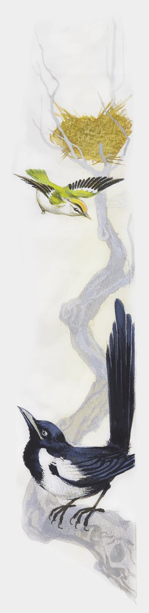 Vogel bouwt zijn nest in boom, terwijl ekster toekijkt vanaf lagere tak, tekening door Unbekannt Unbekannt