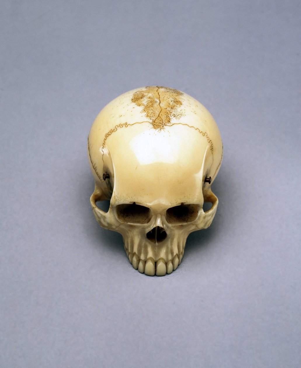Model van een schedel, waarschijnlijk een netsuke, Japans door Unbekannt Unbekannt