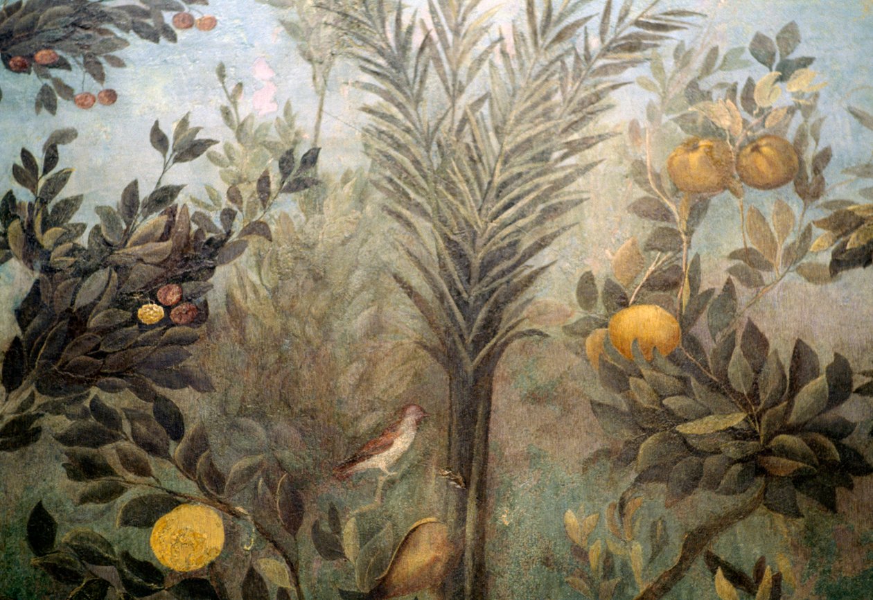 Granaatappelboom, detail van een fresco met een tuin met fruitbomen en vogels, uit het Huis van Livia op de Palatijnse heuvel, Rome, Italië. Romeinse beschaving door Unbekannt Unbekannt