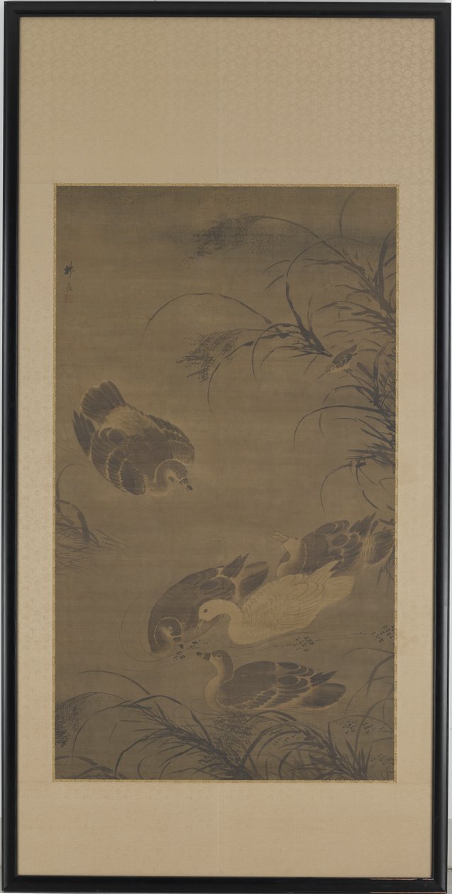 Zwemmen Ganzen door Lin Liang