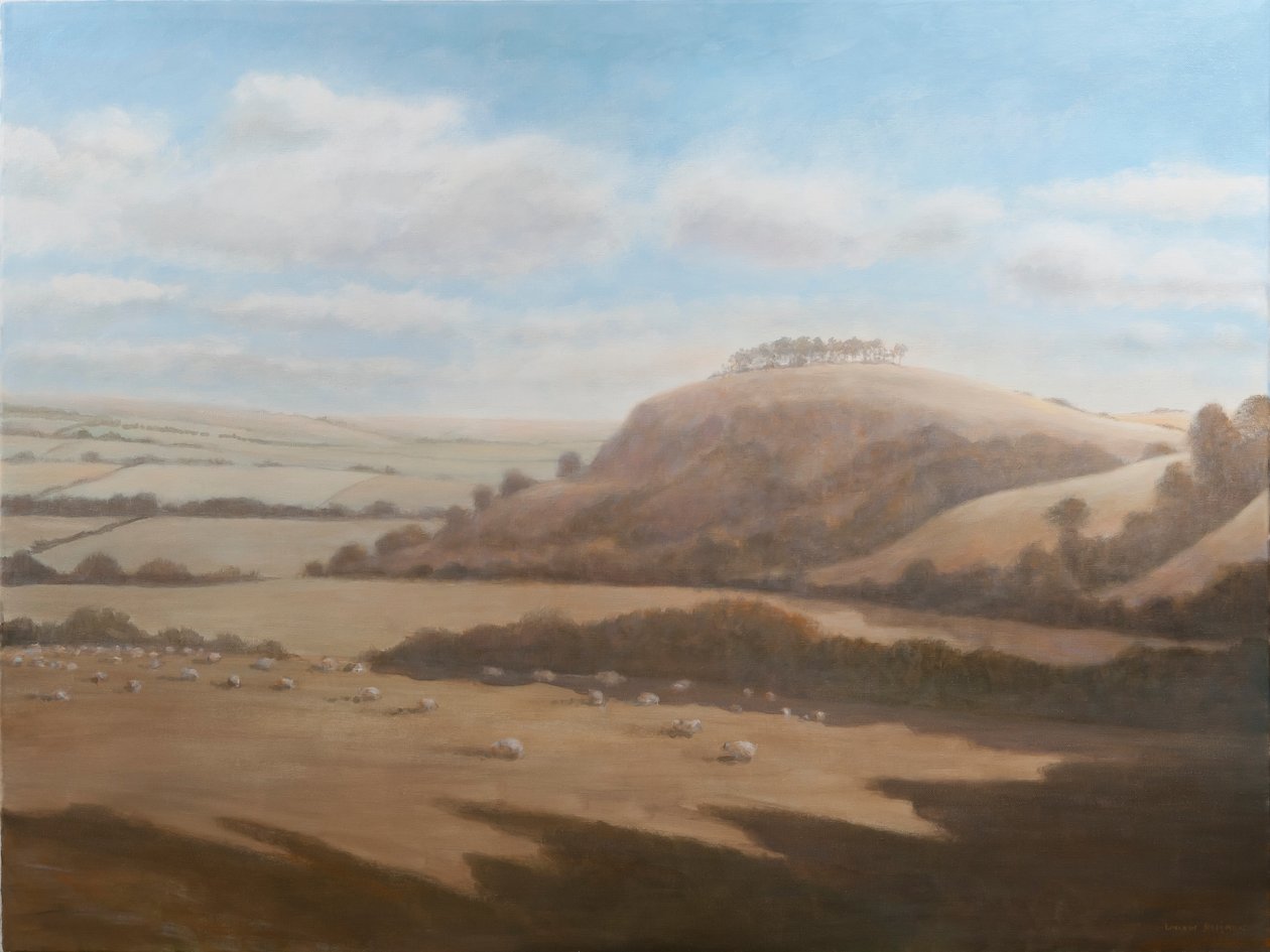 Landschap van Gloucestershire, 2012 door Lincoln Seligman