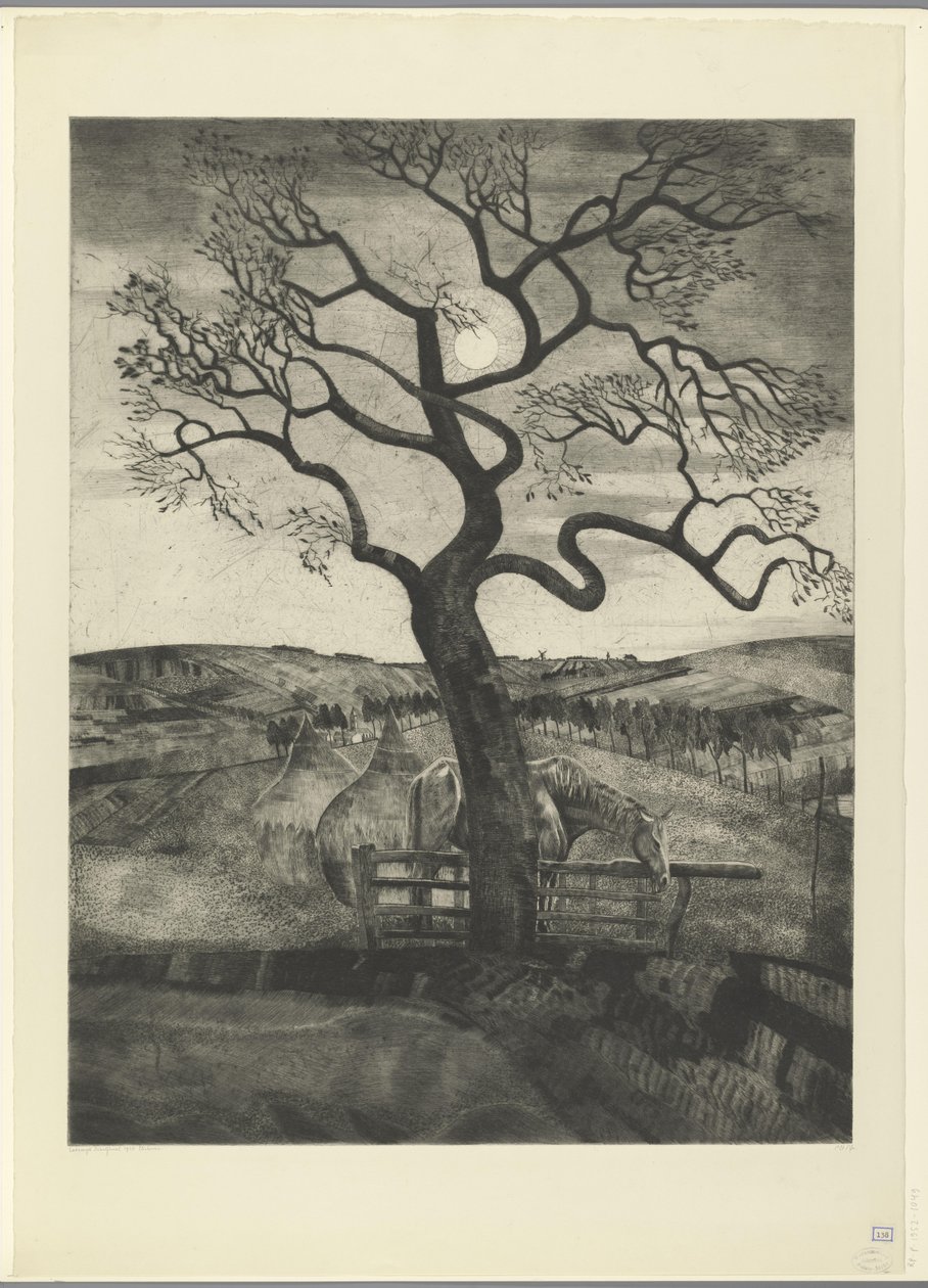 Paard in een weiland bij Etikhove door Lodewijk Schelfhout (signed by artist)