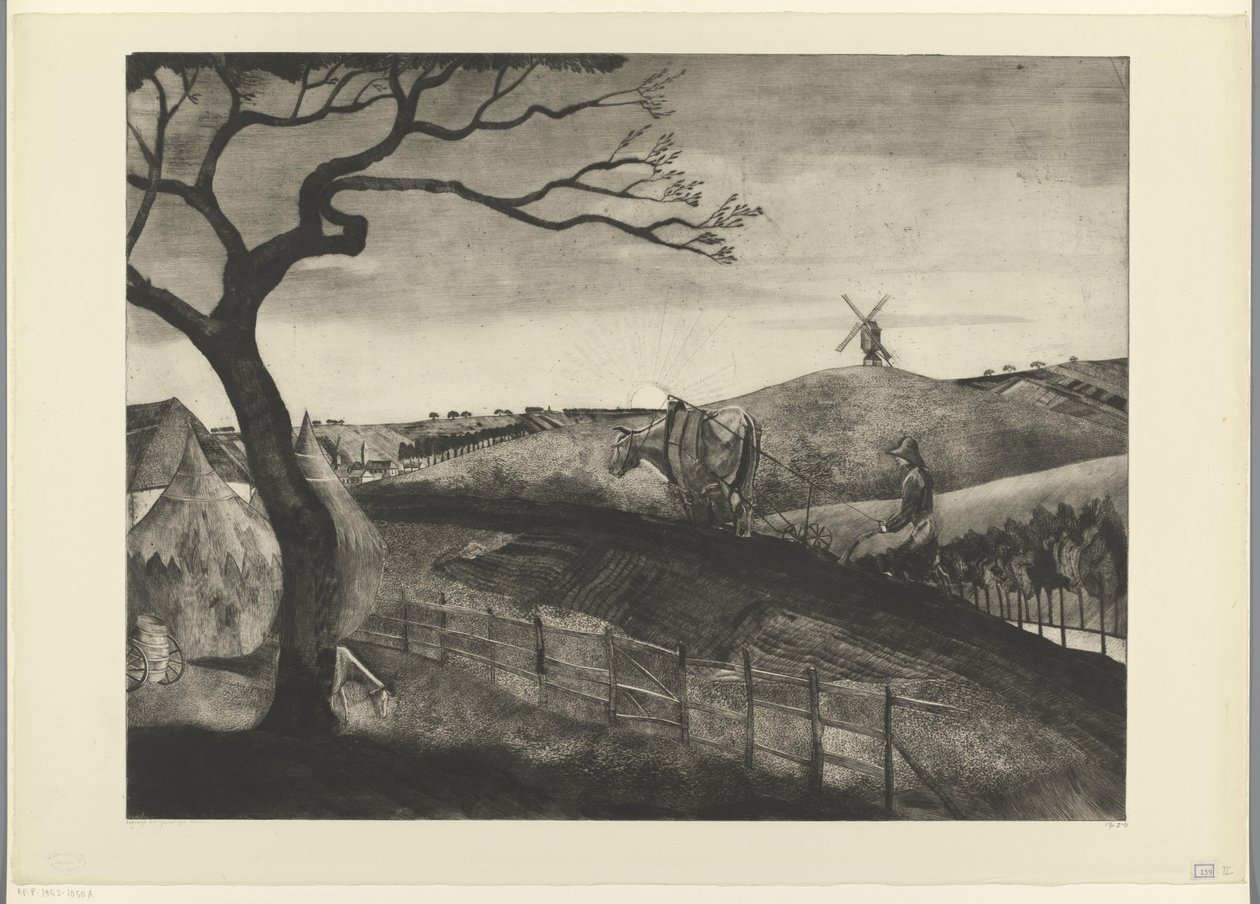 Ploegende boer met een os bij Etikhove door Lodewijk Schelfhout (signed by artist)