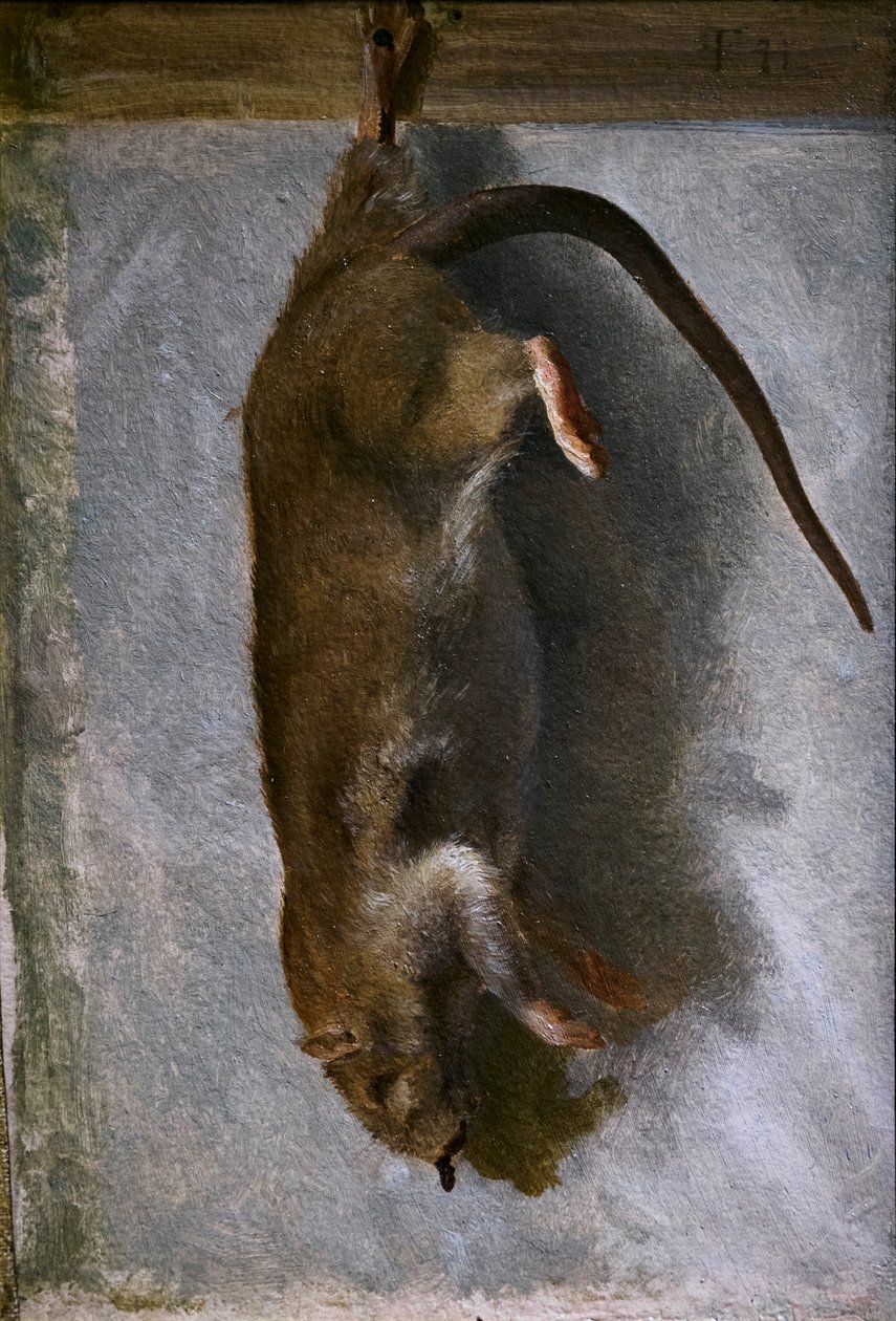 Studie van een dode rat door Lorens Frolich