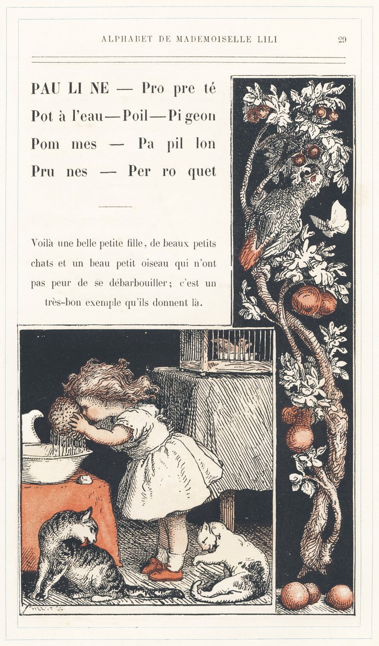Pauline, Schoon, Waterpot, Haar, Duif, Appels, Vlinder, Pruimen, Papegaai, pagina 29 - Alfabet door Mademoiselle Lili, door L. Froelich en door een vader (Hetzel zelf). Bibliotheek & Magasin d