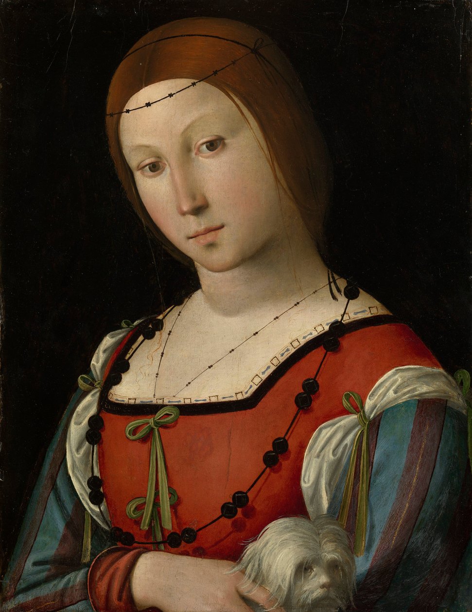 Portret van een dame met een schoothondje door Lorenzo Costa