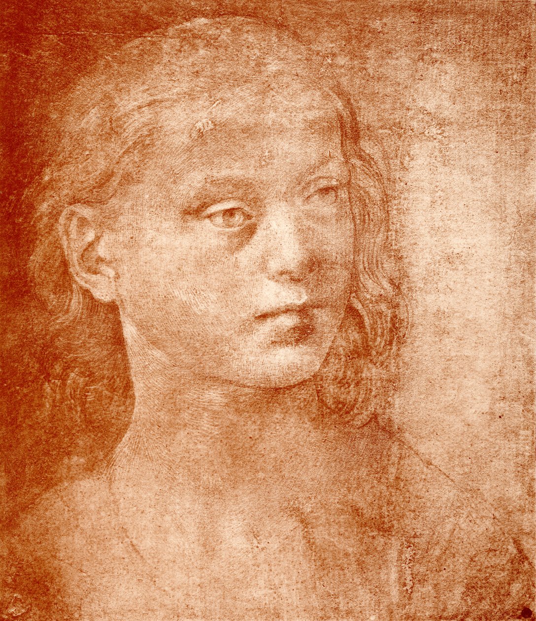 Meisjeshoofd door Lorenzo di Credi