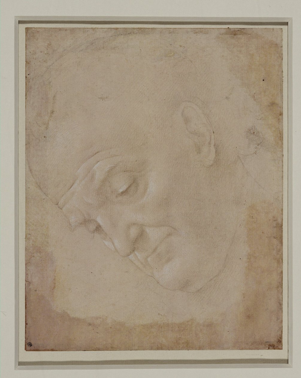 Portret van een kale man, driekwart naar links gedraaid ... door Lorenzo di Credi