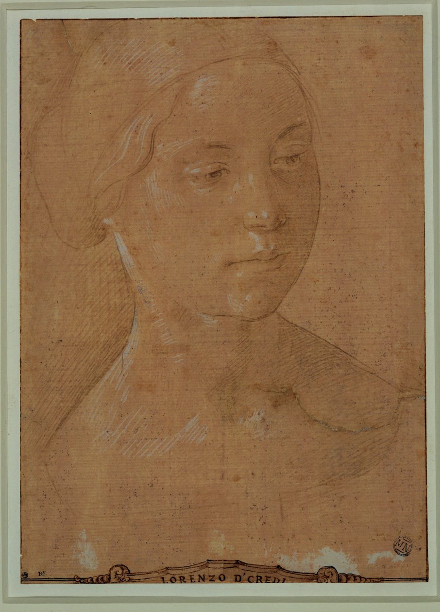 Portret van een vrouw, driekwart gezicht, haar in een net ... door Lorenzo di Credi