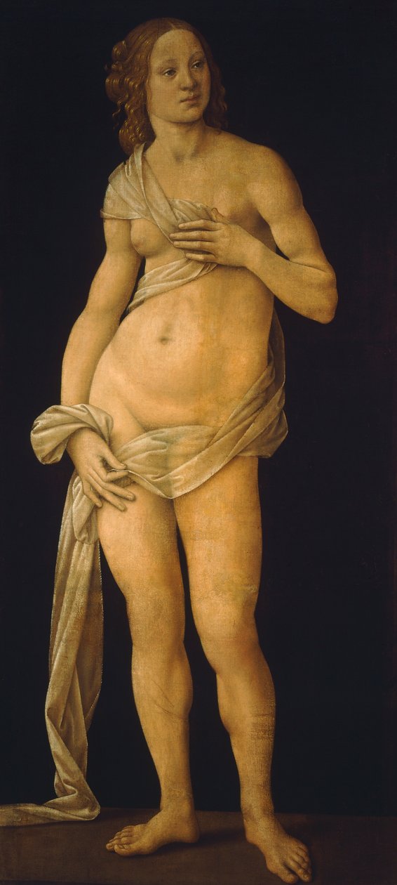 Venus door Lorenzo di Credi