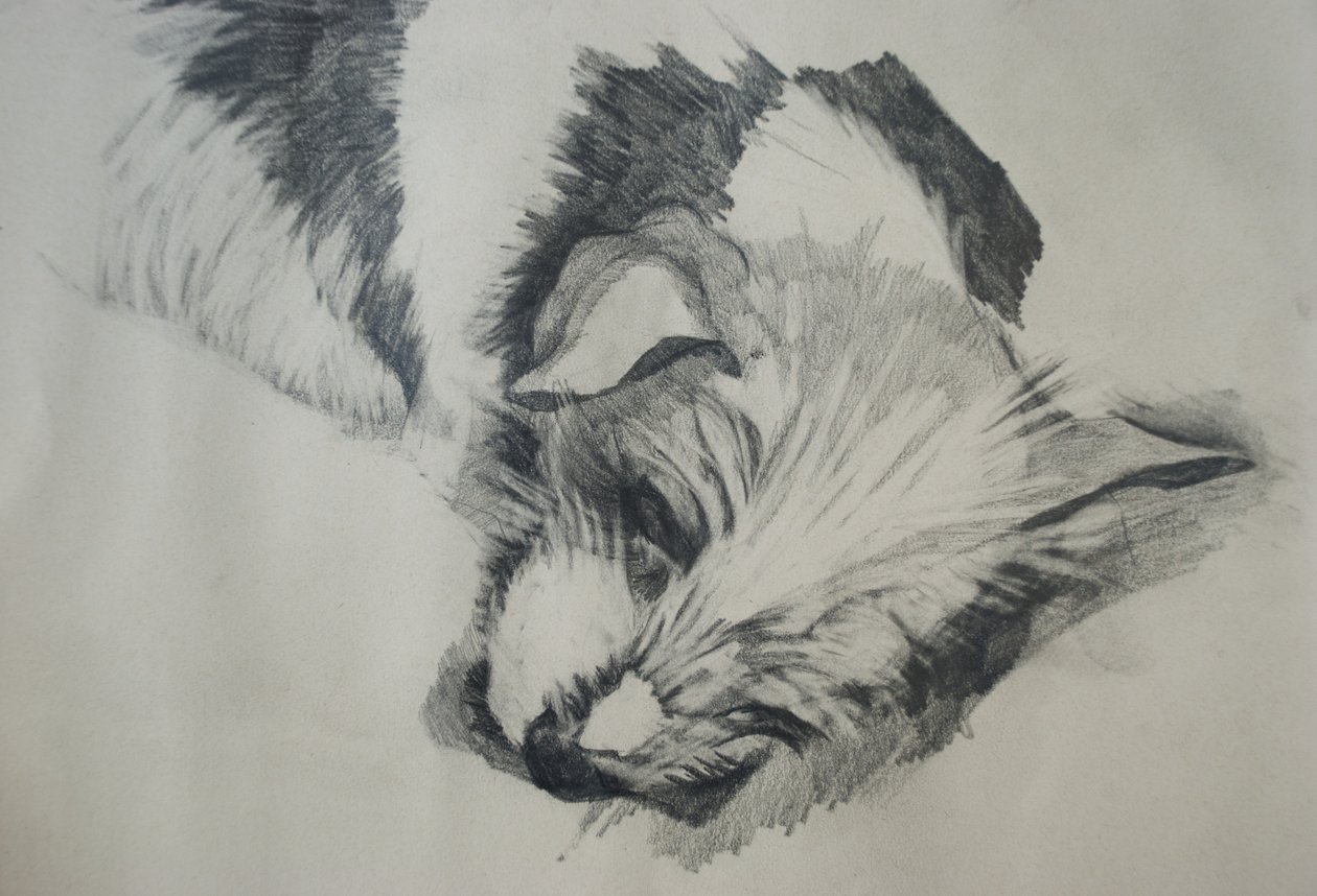Jack Russel, 2015 door Lou Gibbs