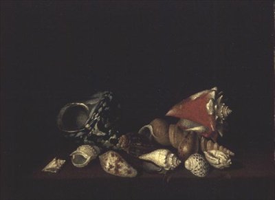 Stilleven van Schelpen op een Richel door Louis Hubner