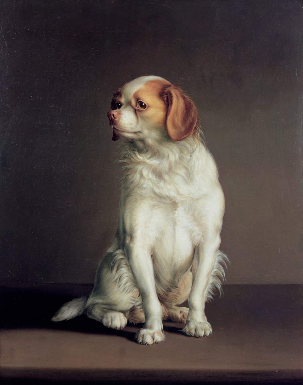Portret van een King Charles Spaniël door Louis Leopold Boilly