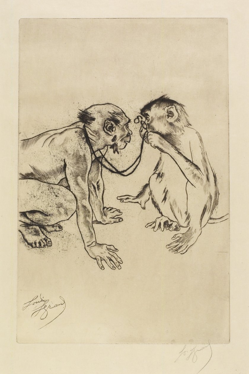 Vergelijkende anatomie door Louis Auguste Mathieu Legrand