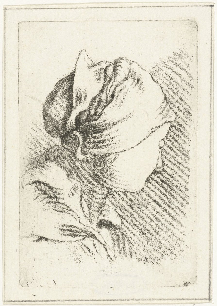Studieblad met een vrouwenhoofd met hoofddoek door Louis Bernard Coclers