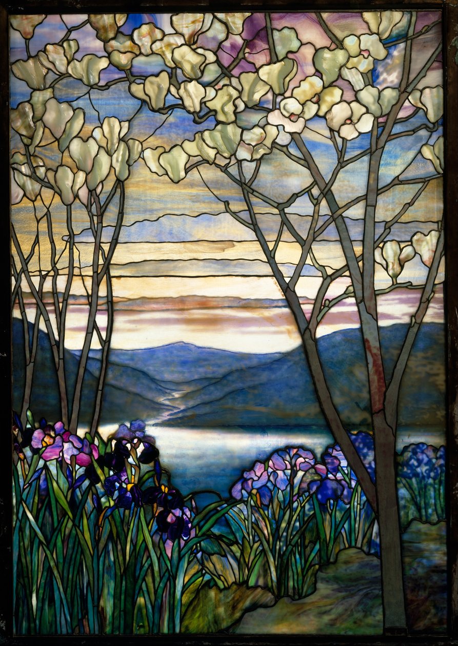 Magnolia