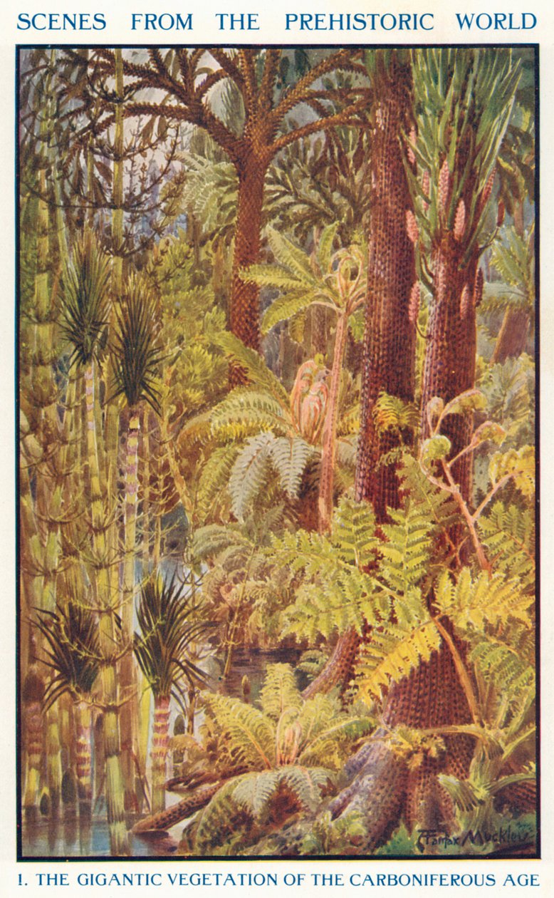 De gigantische vegetatie van het carboontijdperk (kleurenlitho) door Louis Fairfax Muckley
