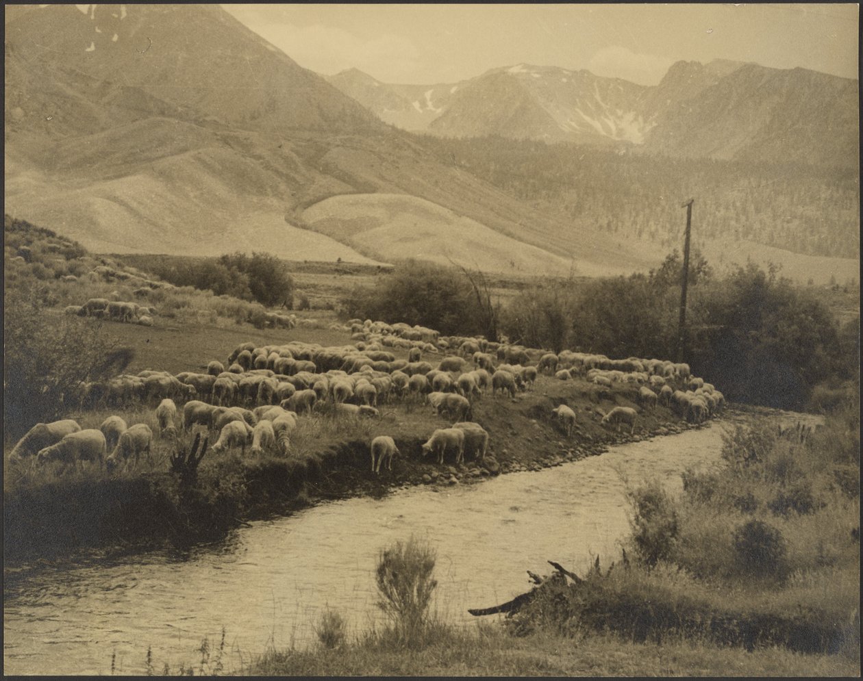 Een bergweide door Louis Fleckenstein