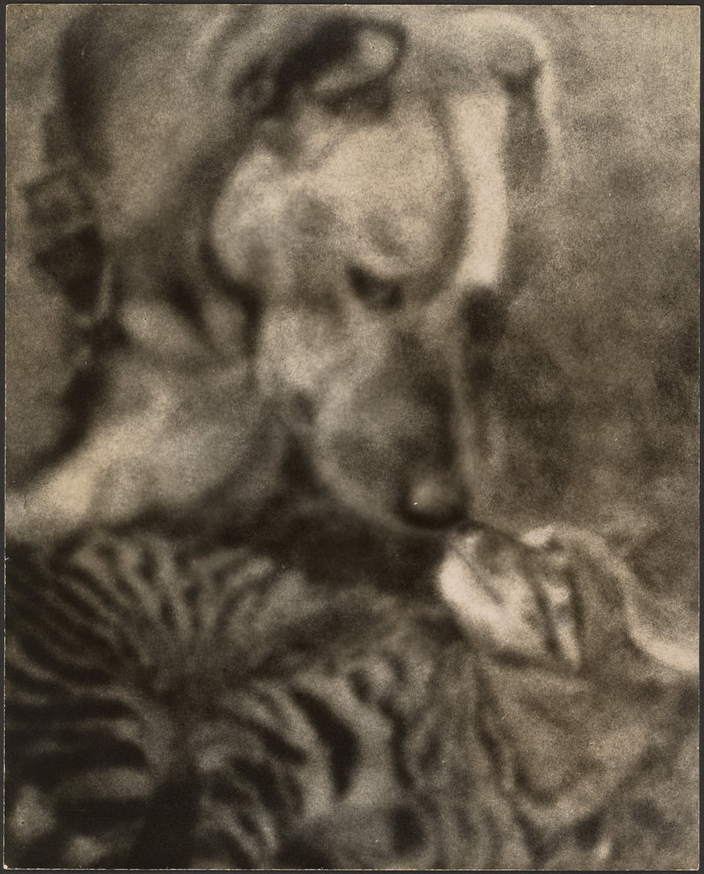 [Kat en hond] door Louis Fleckenstein