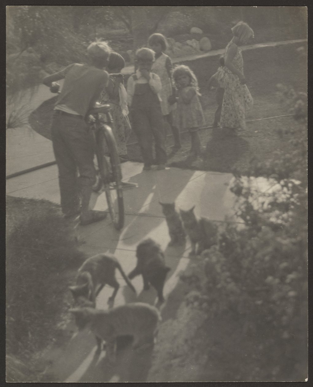 [Kinderen en katten] door Louis Fleckenstein