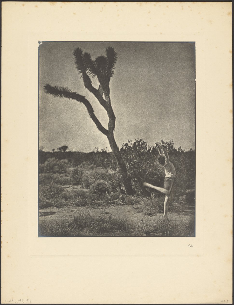 [Danseres bij Joshua Tree] door Louis Fleckenstein