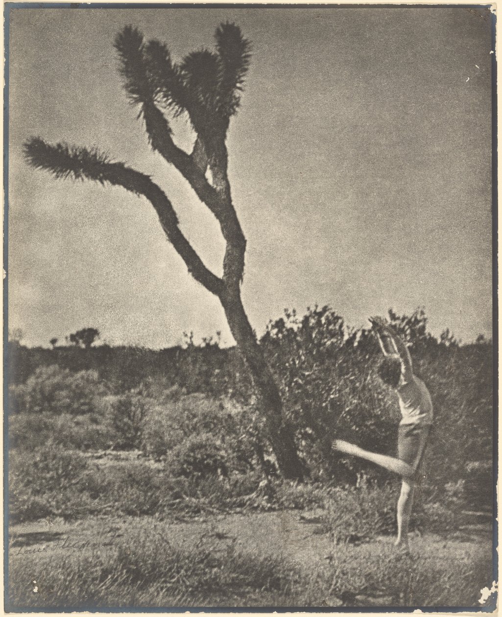 [Danser bij Joshua Tree] door Louis Fleckenstein
