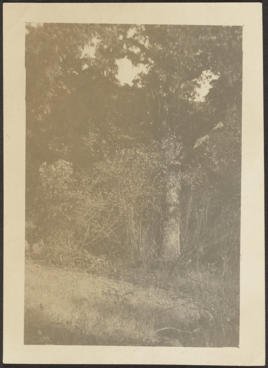 [Landschap] door Louis Fleckenstein