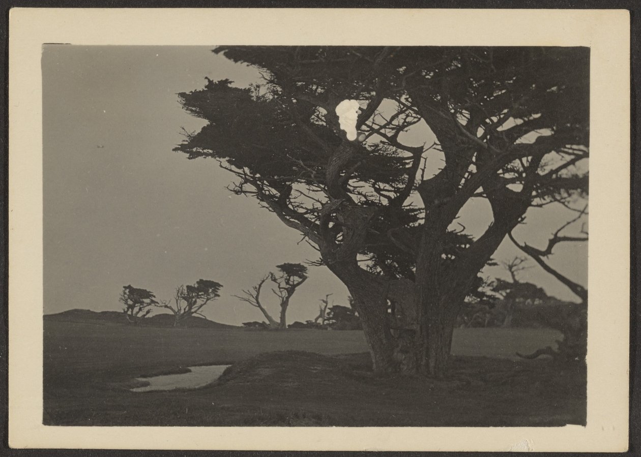 [Landschap] door Louis Fleckenstein
