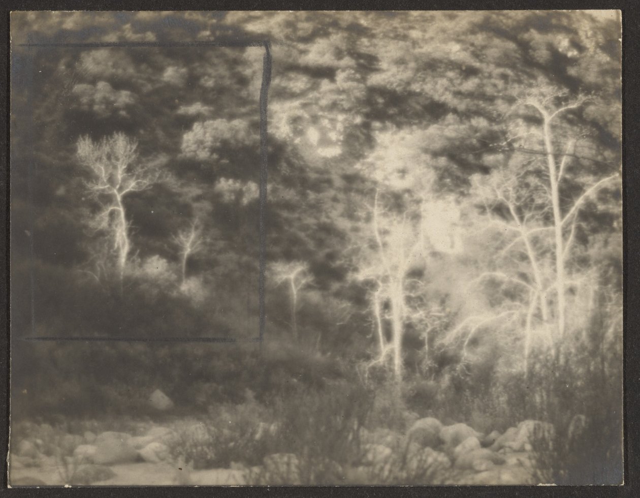 [Landschap met lichte bomen] door Louis Fleckenstein