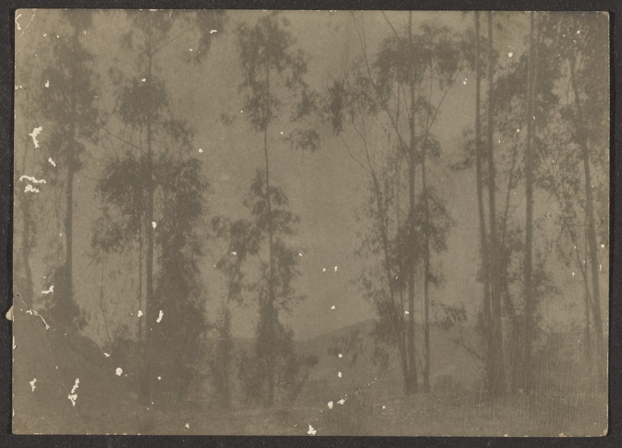 [Landschap met hoge bomen] door Louis Fleckenstein