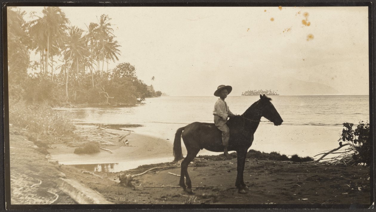 [Man op een paard] door Louis Fleckenstein