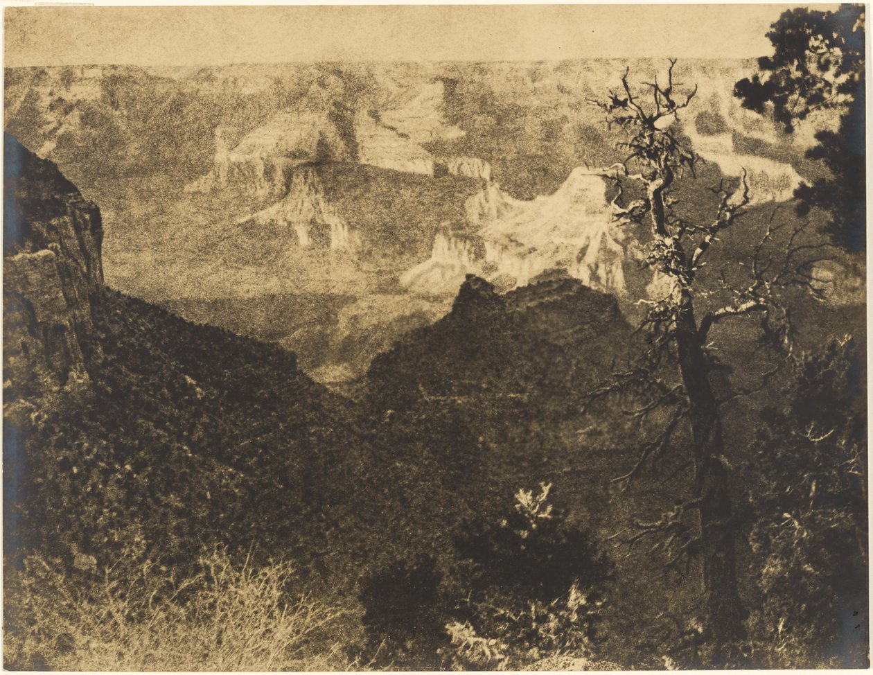 [Bergachtig landschap met kale boom] door Louis Fleckenstein