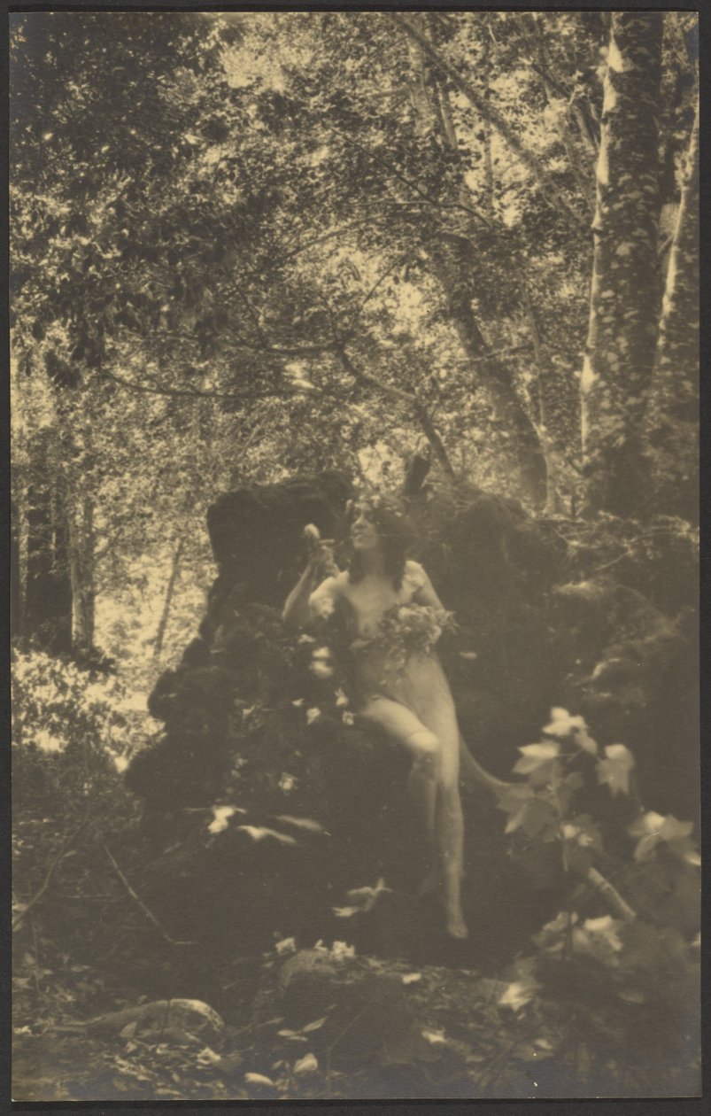 [Naakte vrouw in het bos] door Louis Fleckenstein