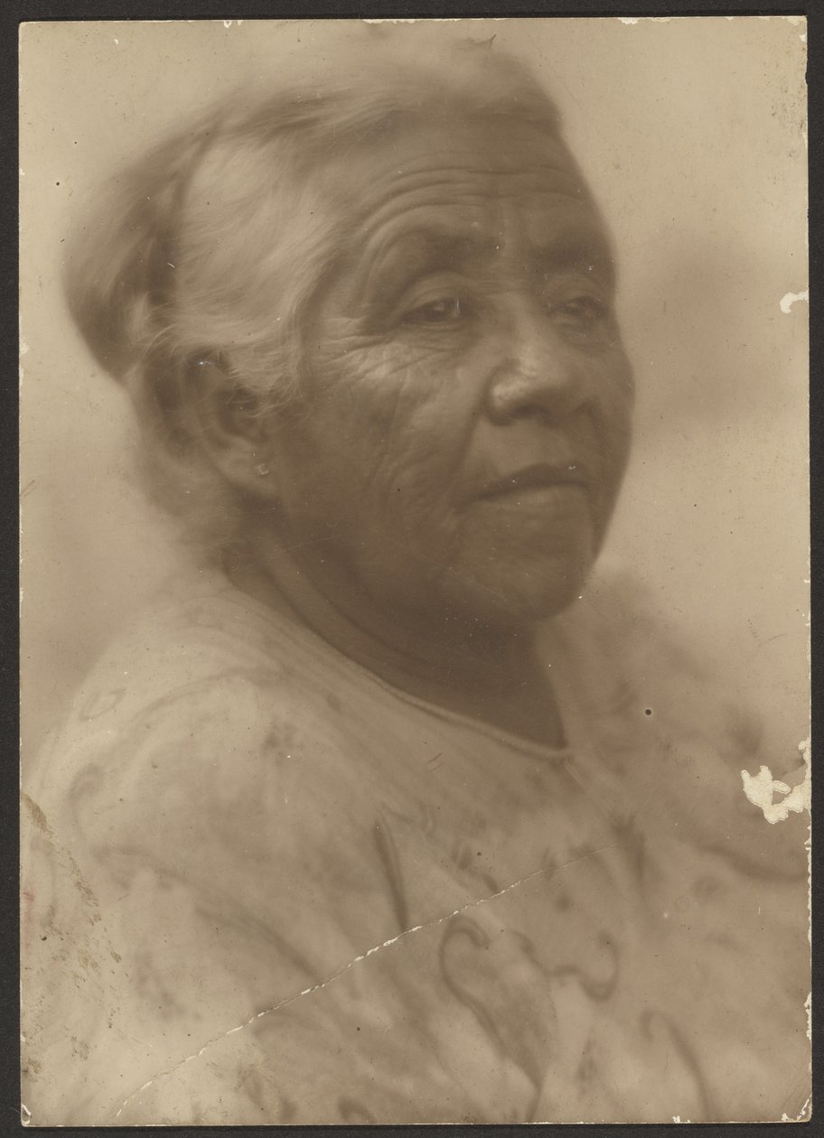 [Portret van een vrouw met gedessineerde blouse]. door Louis Fleckenstein
