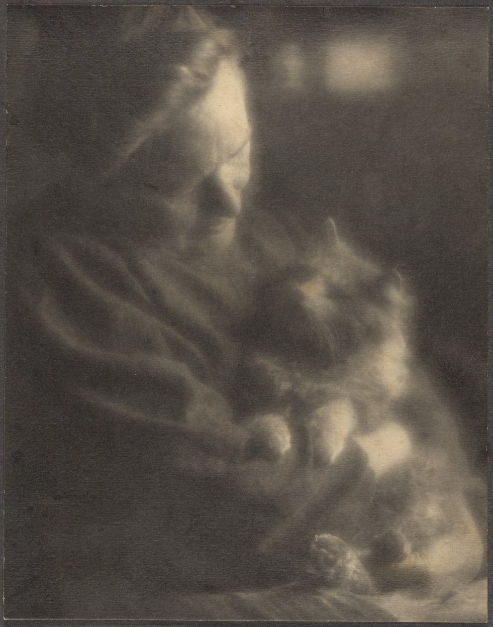De huisdier-angora door Louis Fleckenstein