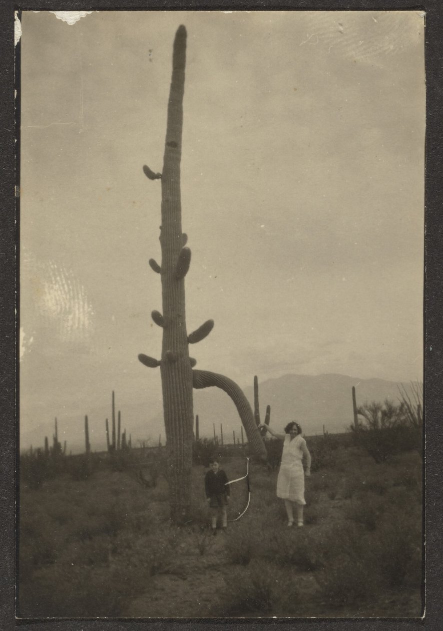 [Vrouw en kind met cactus] door Louis Fleckenstein