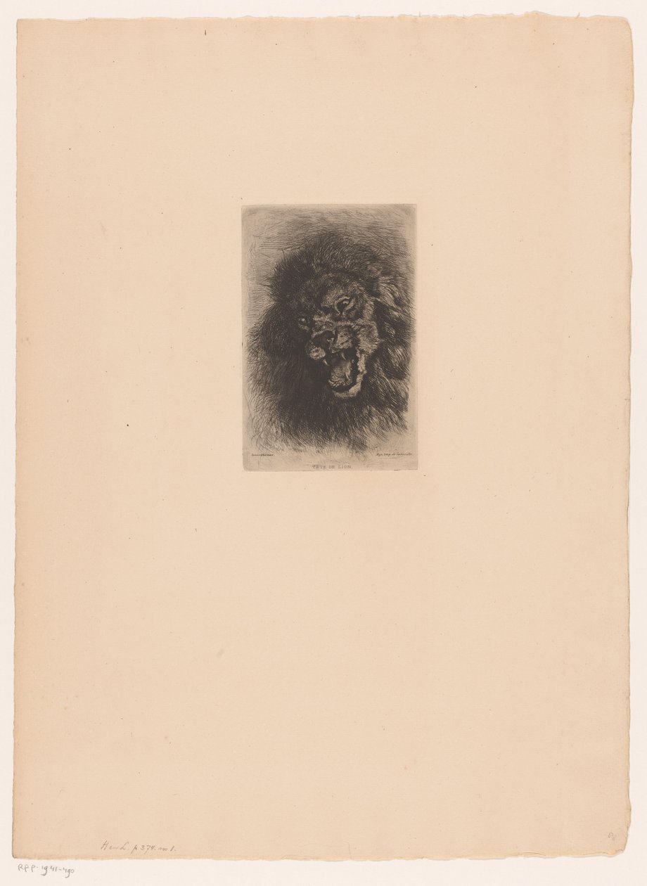 Leeuwenkop door Louis Ghémar