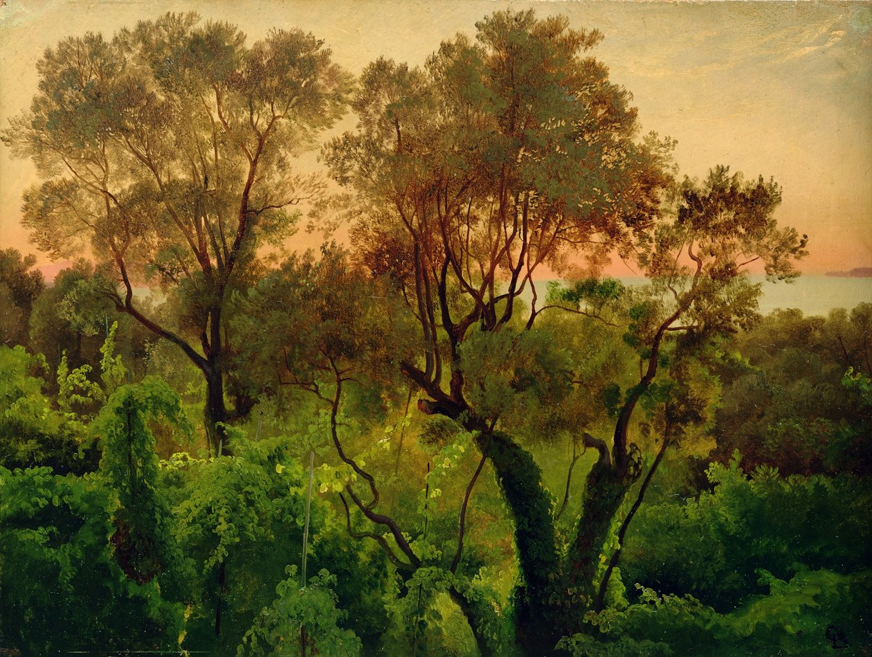 Helling met olijfbomen door Louis Gurlitt