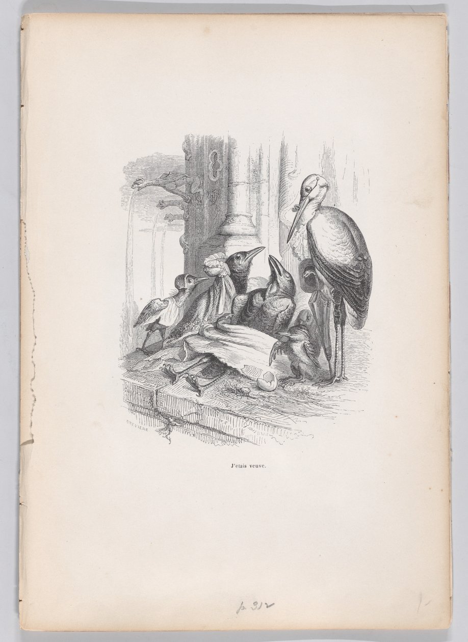 Ik was een weduwe uit Scènes uit het Privé- en Openbare Leven van Dieren, ca. 1837-47 door Louis Henri Brévière