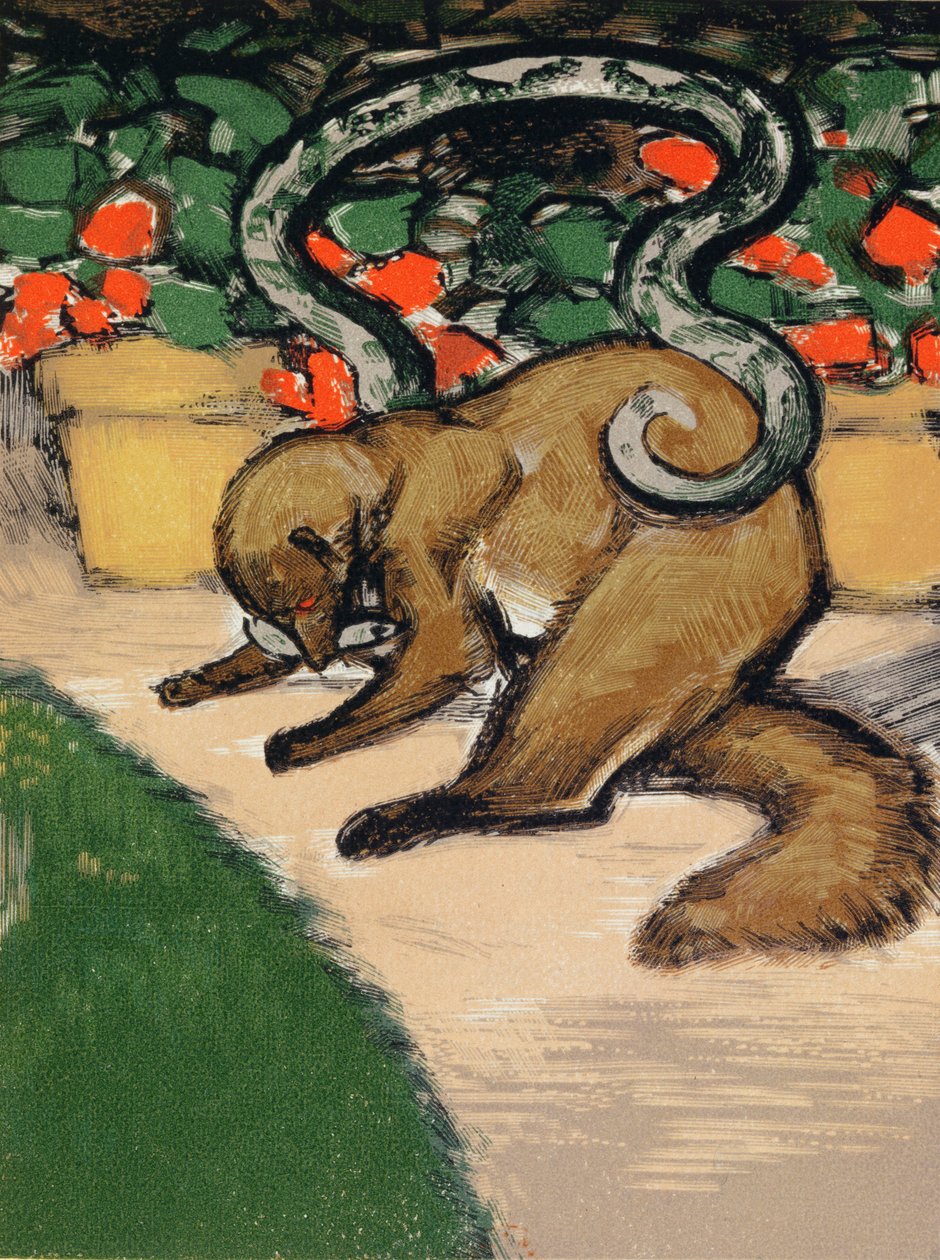 Rikki-Tikki-Tavi, illustratie uit 