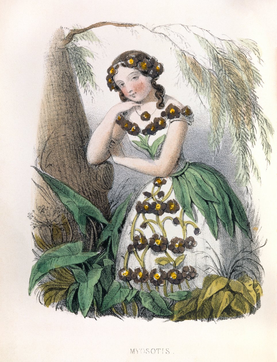 Allegorie , la Myosotis door Louis Simon (1810-1870) Lassalle