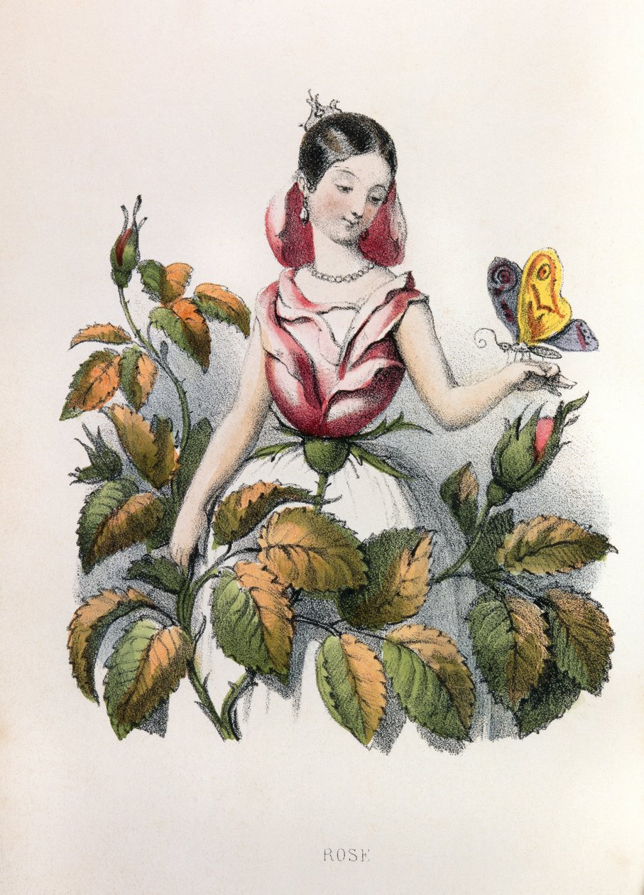 Allegorieën, la rose door Louis Simon (1810-1870) Lassalle